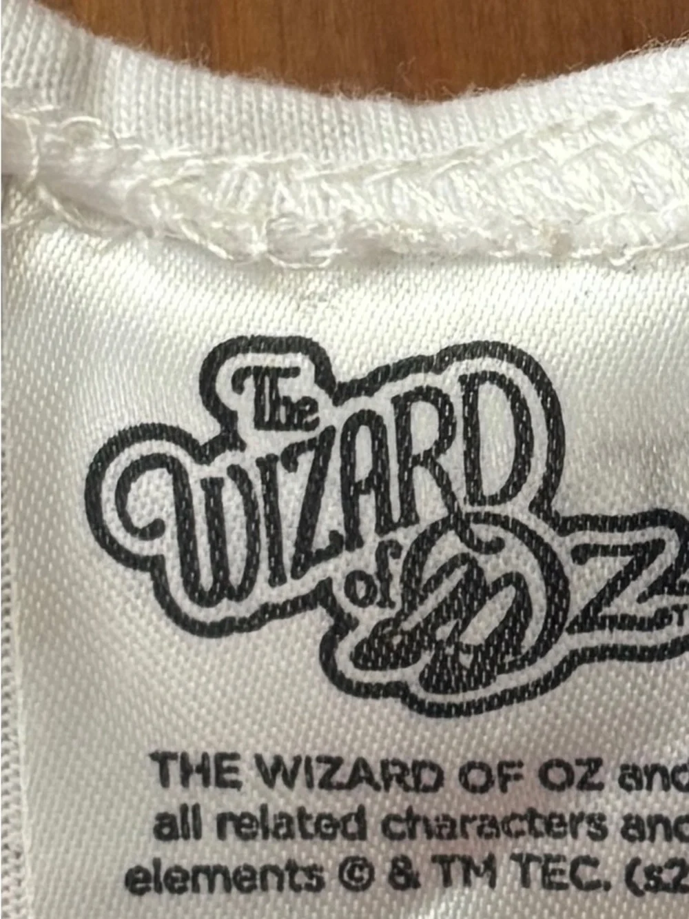 Wizard Of Oz charming blue